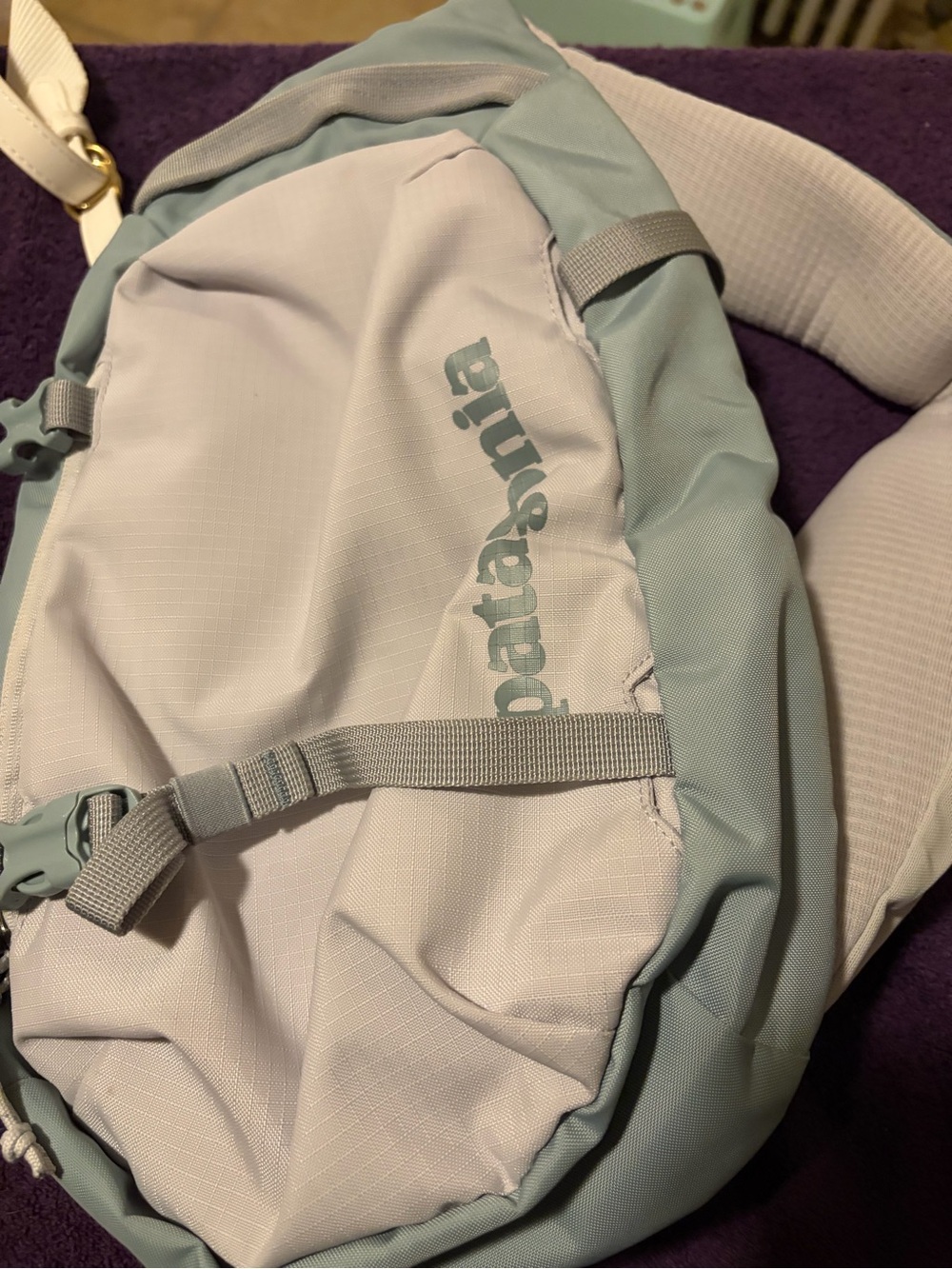 Patagonia Two-Tone Light Blue and Pale Gray Sling Bag